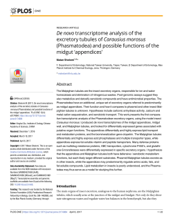 De novo transcriptome analysis of the excretory tubules of