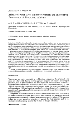 Effects of water stress on photosynthesis and