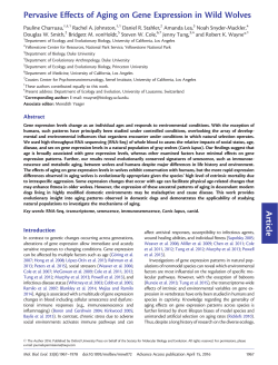 Pervasive Effects of Aging on Gene Expression in