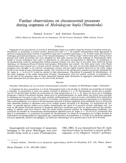 Further observations on chromosomal processes during oogenesis