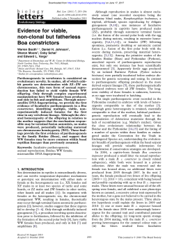 Evidence for viable, non-clonal but fatherless Boa constrictors