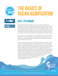 The basics of ocean acidification