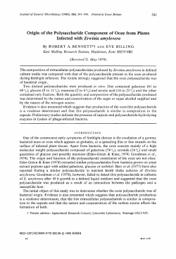 Origin of the Polysaccharide Component of Ooze