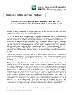 Traditional Baking Enzymes - Enzyme Development Corporation