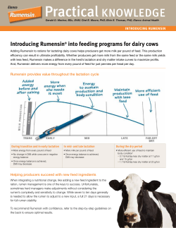Introducing Rumensin into Feeding Programs for Dairy