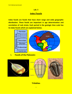 I. Fossils of the Paleozoic: Trilobites