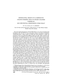 MONOCLONAL ORIGIN OF B LYMPHOCYTE