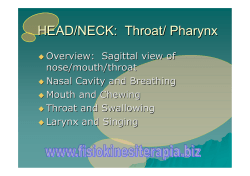 HEAD/NECK: Throat/ Pharynx