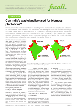Can India`s wasteland be used for biomass plantations? Focali Brief