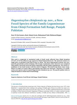 Ougenioxylon chinjiensis sp. nov., a New Fossil Species of the