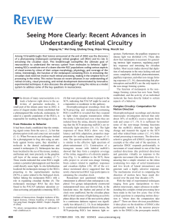 Seeing More Clearly: Recent Advances in Understanding Retinal
