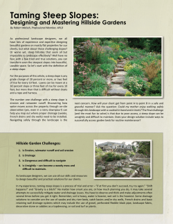Taming Steep Slopes - Westover Landscape Design