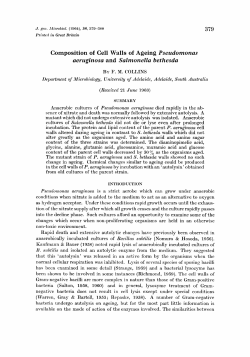 Composition of Cell Walls of Ageing Pseudomonas