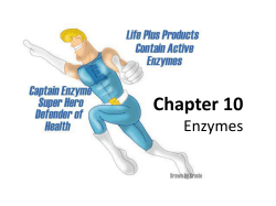 Chapter 15 Enzymes