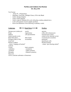Porifera and Cnidaria Test Review Ch. 33 p. 672