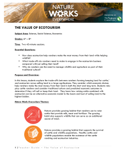 the value of ecotourism - Nature Works Everywhere