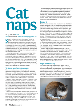 Faking it Night-time activity To sleep, perchance to dream