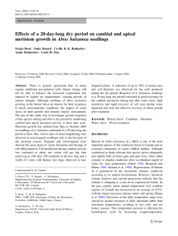 Effects of a 20-day-long dry period on cambial and apical