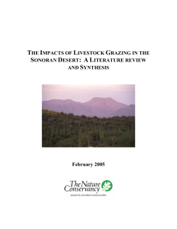 the impacts of livestock grazing in the sonoran desert