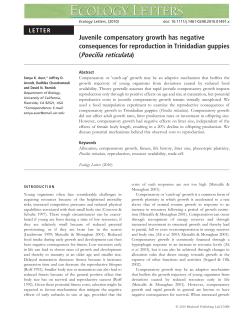 Juvenile compensatory growth has negative