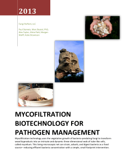 Mycofiltration biotechnology for Pathogen