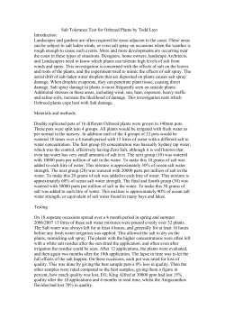 Salt Tolerance Test for Ozbreed Plants by Todd Layt Introduction