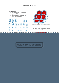 Chromosomes - J Co Review