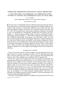 chromatid aberrations induced by gamma irradiation. i