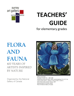 TEACHERS` GUIDE
