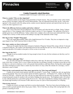 Condor Frequently Asked Questions