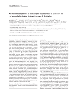 Mobile carbohydrates in Himalayan treeline trees I. Evidence for