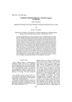 Comparative Spiralian Oogenesis&mdash;Structural Aspects: An Overview