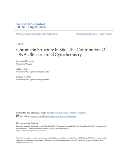 Chromatin Structure In Situ: The Contribution Of DNA Ultrastructural