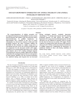 Oxygen-dependence of cellular energetics