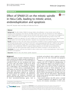 Effect of SP600125 on the mitotic spindle in HeLa Cells, leading to