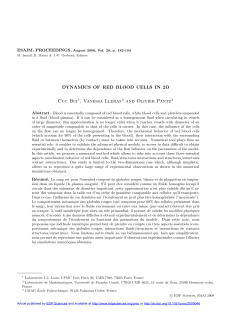 Dynamics of red blood cells in 2d