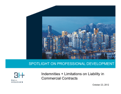 Spotlight on PD Indemnities + Limitations on Liability in