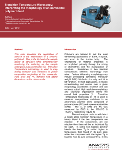 Interpreting the morphology of an immiscible polymer blend