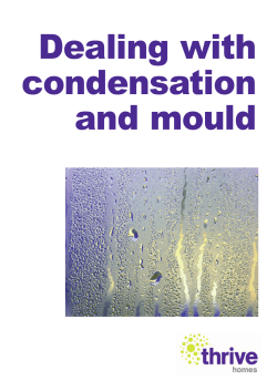 leaflet - Thrive Homes