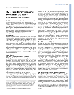 TGF&szlig;superfamily signaling: notes from the desert