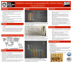 Antibiotic molecules in geographically distinct honeys
