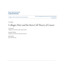 Collagen XIα1 and the Stem Cell Theory of Cancer