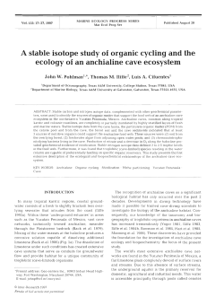 A stable isotope study of organic cycling
