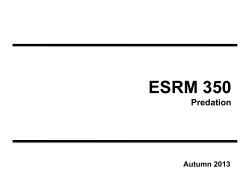 Predation