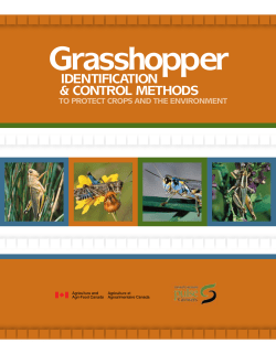 Dan Johnson - University of Lethbridge