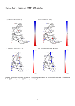 Human liver - Hepatonet (ATP) SM rate law