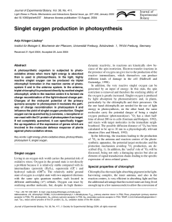 Singlet oxygen production in photosynthesis