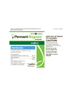 4053320-PE AGI 172947-Pennant Magnum