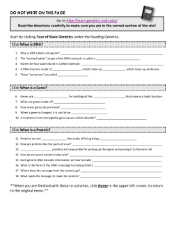The Basics and Beyond - Center Grove Schools