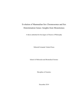 Evolution of Mammalian Sex Chromosomes and Sex Determination
